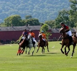 Country pursuits