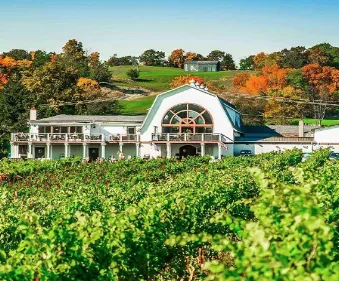 From farm to glass