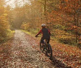 Hit the trails